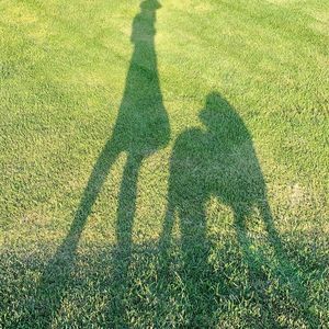 Meet your Posher, Daisy